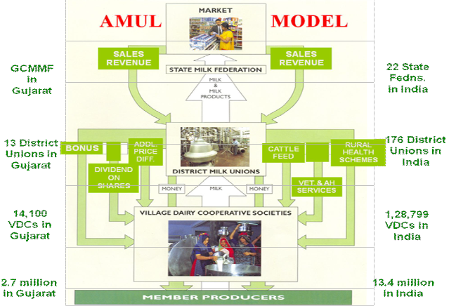 Supply chain management case study amul