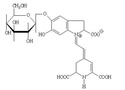 read molecular