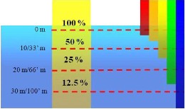 Underwater Color Chart