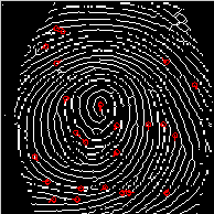 minutiae extraction matlab code